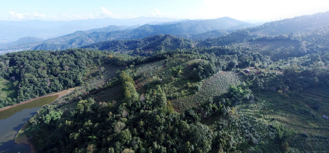 Image 1: Aerial view of lush, green mountainous terrain with scattered vegetation, trees, and a small body of water in the foreground, under a clear sky.