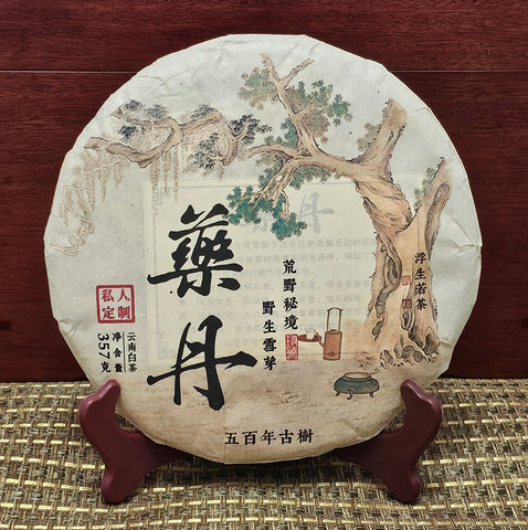 Image 7
