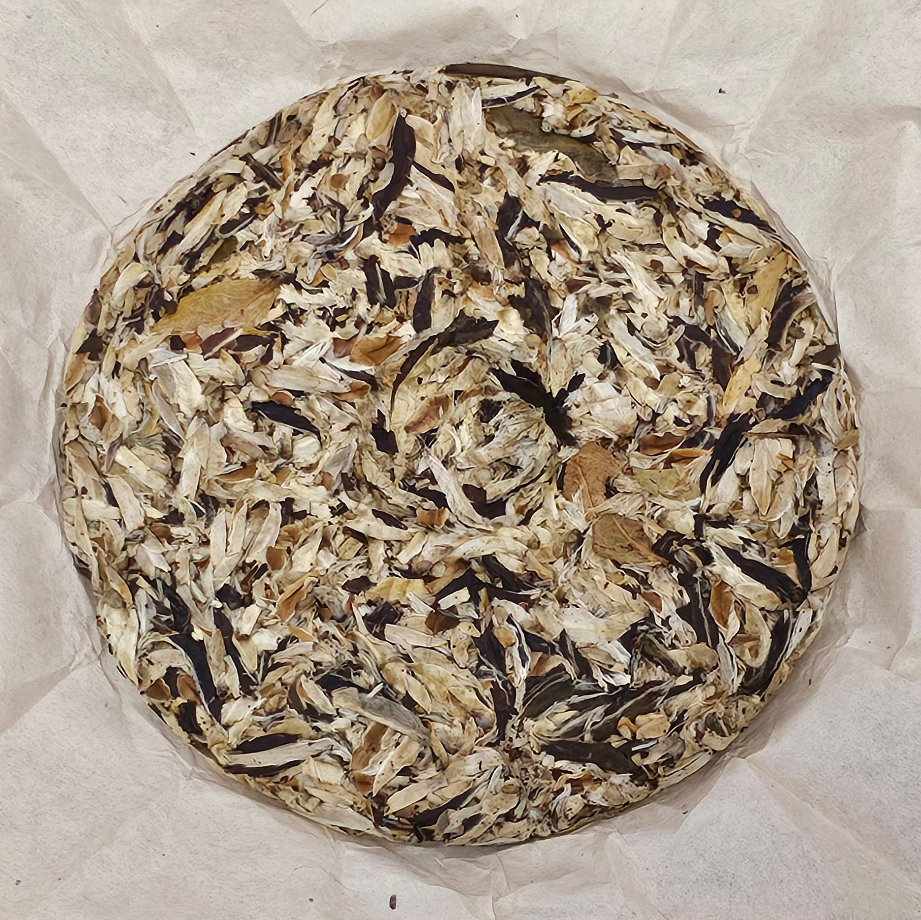 2005 Wild Ancient Tree Snow Bud Feather White Tea《野生古樹雪芽羽毛白茶》357g:圖片 4