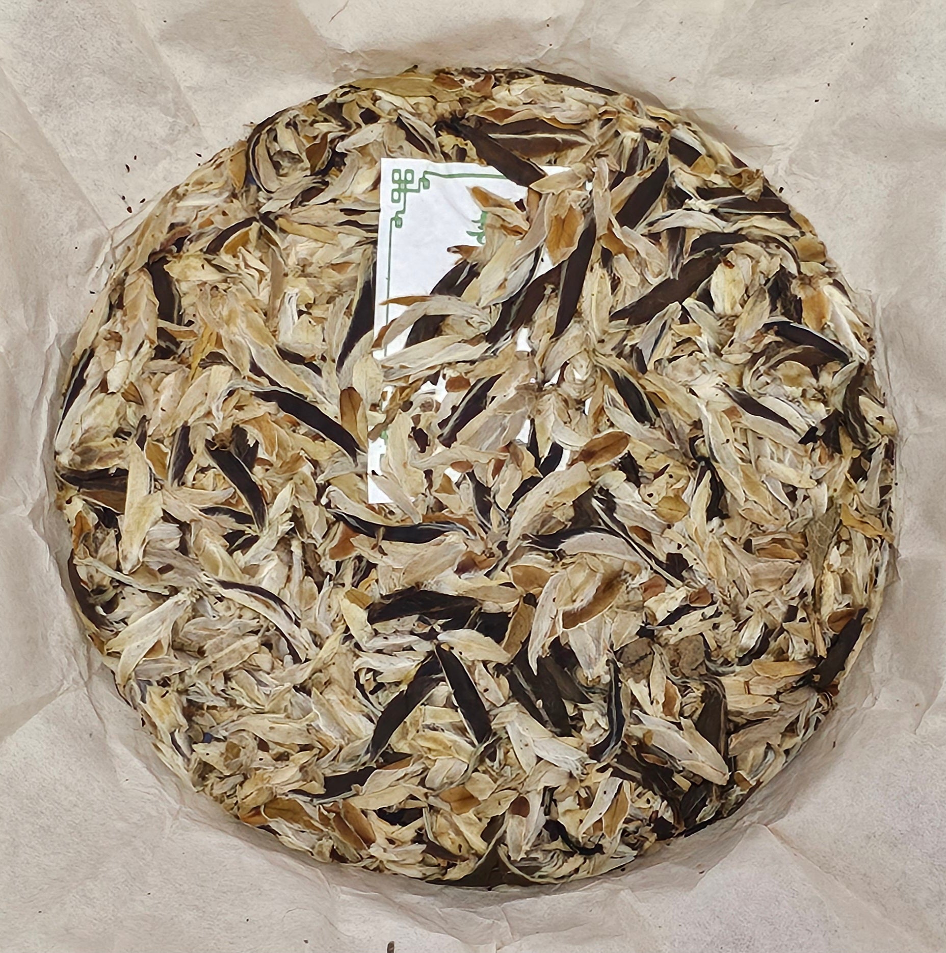 2005 Wild Ancient Tree Snow Bud Feather White Tea《野生古樹雪芽羽毛白茶》357g:圖片 2
